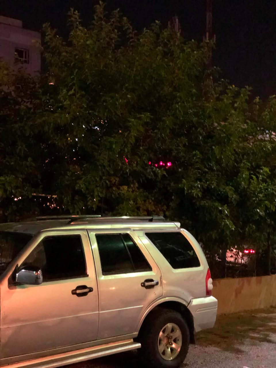 گۆرینەوە فرۆشتن سڵاوی خواتان لێ بێت گۆناو مۆدێل 2004 گێر مەکینە بێ موشکیلە مەکینەی توێتا ئەرنەبی لەسەرە مەکینە بەخە سەیارەکە بەر چاوە مەنەفێستە سەیارەکە نرخی ٢٢ گەڵا مەجال گۆرینەوەش دەکەم لە سەر دڵ گرتن شوێن هەولێر أربيل, العراق


**إذا كنت صاحب هذا الإعلان وتريد حذفه لأي سبب، رجاءا أرسل رسالة إلى الدعم الفني**