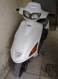 فراشه • فحل • خيط بخار