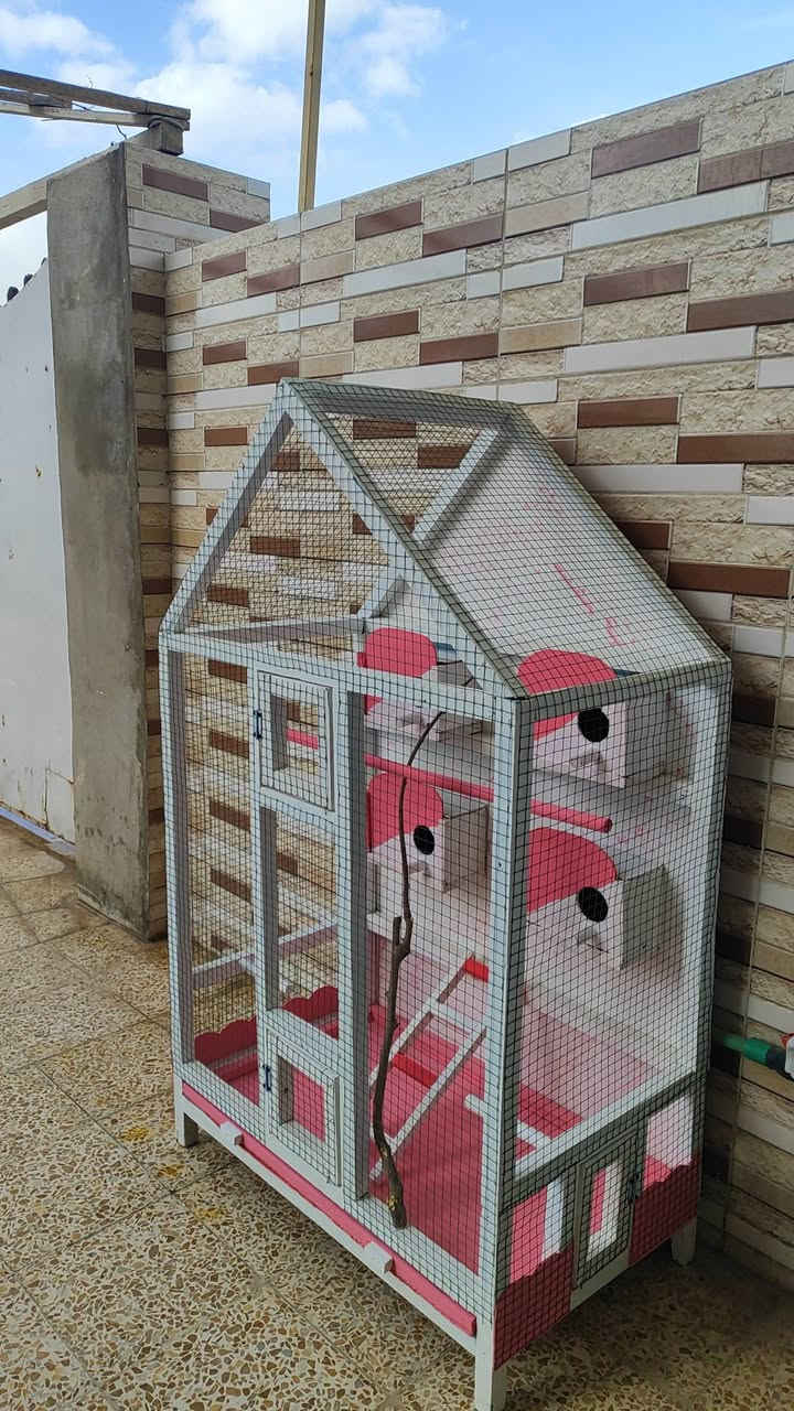 متاح قفص ارتفاع متر 45 واجهيه 87 عمق 51


**إذا كنت صاحب هذا الإعلان وتريد حذفه لأي سبب، رجاءا أرسل رسالة إلى الدعم الفني**