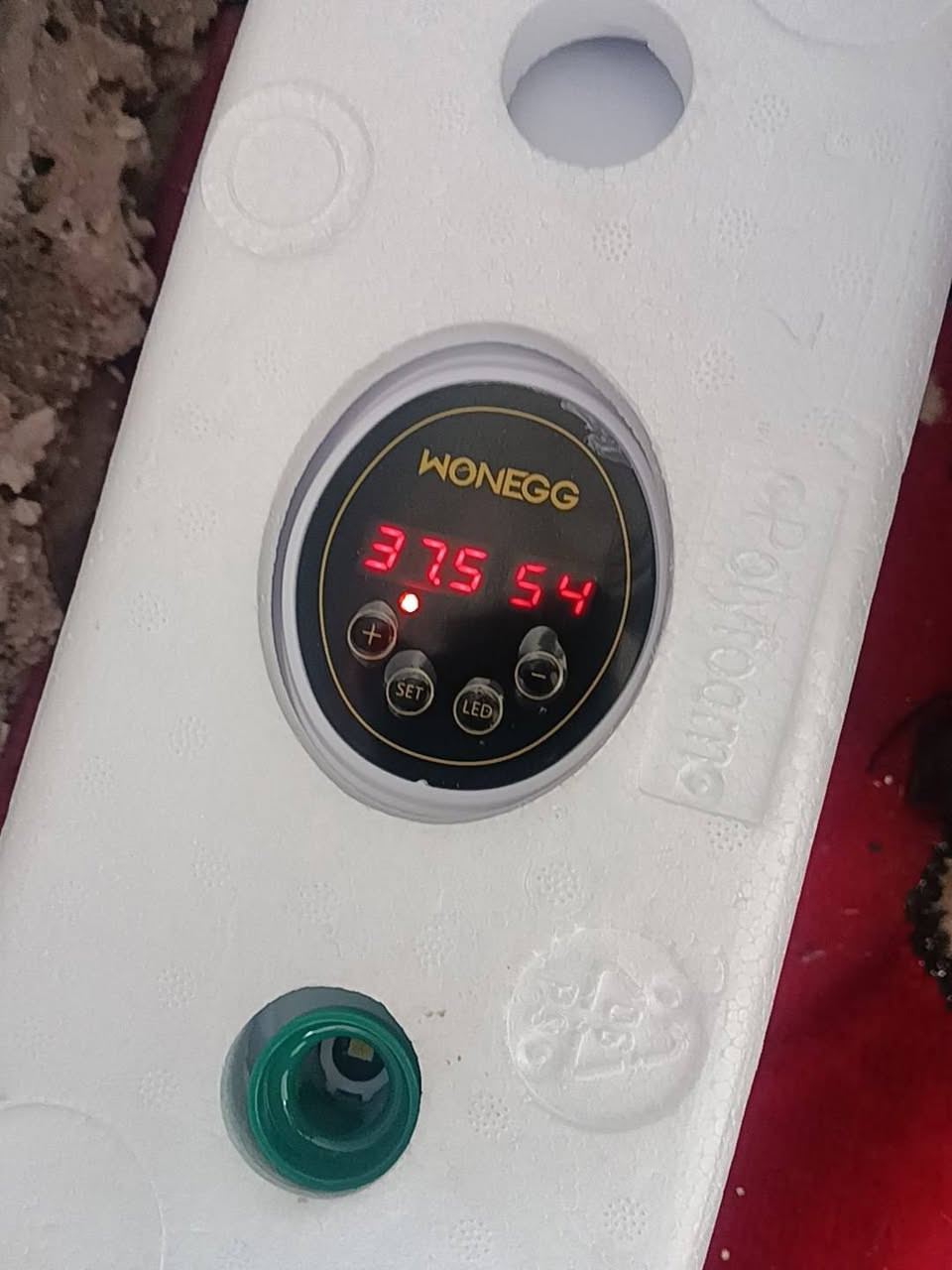 متوفره فقاسة للبيع


**إذا كنت صاحب هذا الإعلان وتريد حذفه لأي سبب، رجاءا أرسل رسالة إلى الدعم الفني**