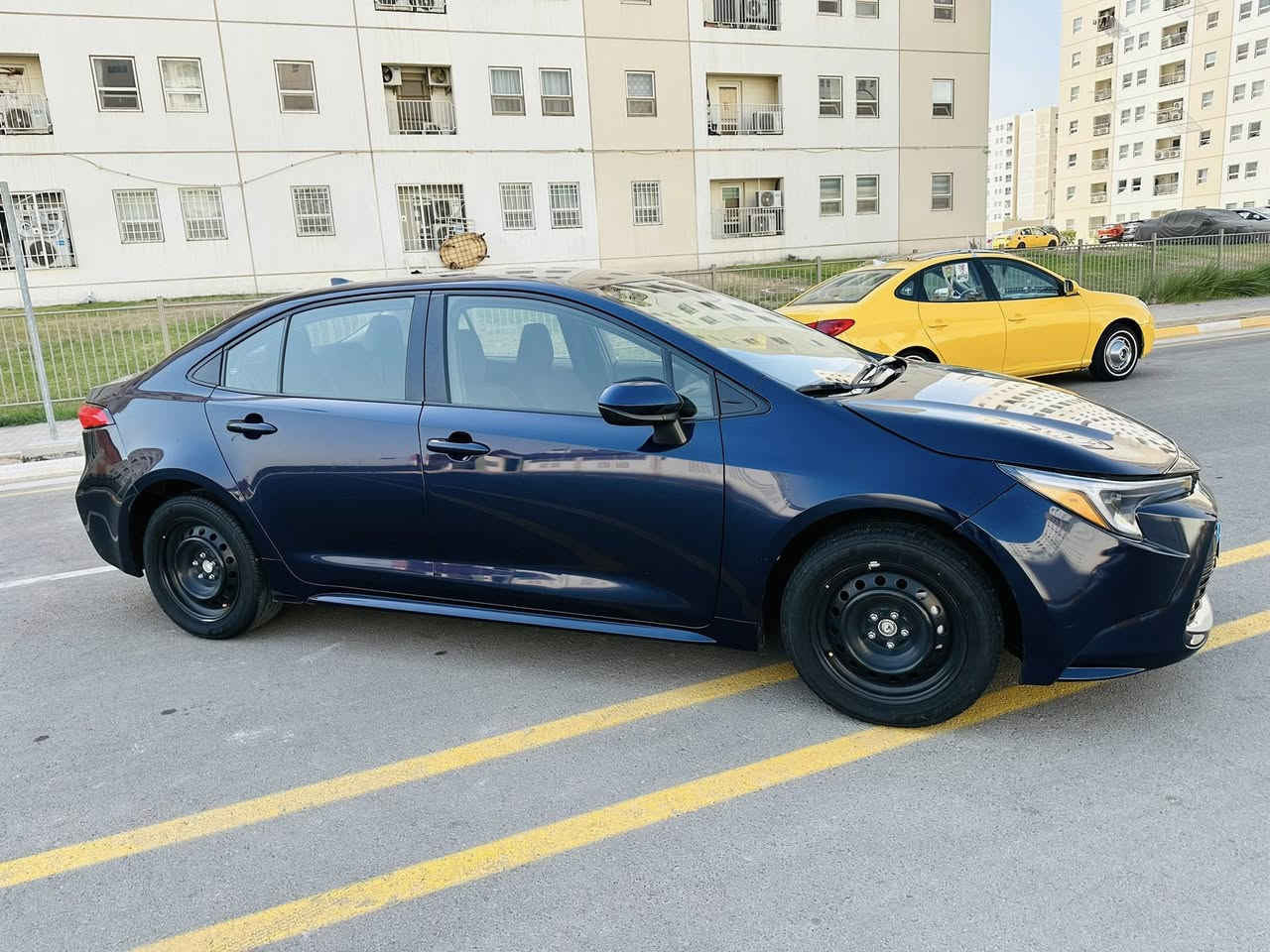 سلام عليكم كورله 23 هايبرد بدون رباك مراوس بغير لون شعدك نزل ***********
