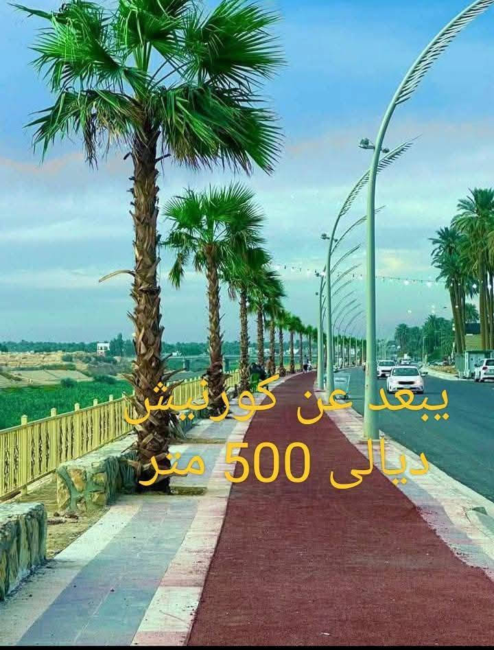 بيت للبيع ملك صرف ١٣٥ متر ملك صرف طابو والسعر 150مليون
وبي مجال بسعر الموقع ديالى بعقوبه المركز 

 والوجه ١٤ نزال ٩ونص الطابق الأرضي غرفتين ونوم مطخ صاله استقبال الطابق الثاني درج خارجي مشتملات ٢ هيكل فقط البناء بلوك احمر سيراميك متر في متر الأبواب تركي مع باب قاصه الشبابيك المنيوم سلايت جام سكيورتي البيت كل سقوف مغربيه البت مطلوب إسكان للتصال ‏‪

‏‪0773 350 0599‬‏
