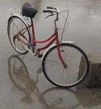 ياباني • حجم ٢٦ • حي النصر