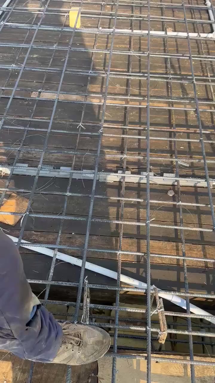 *********** الطوگي
