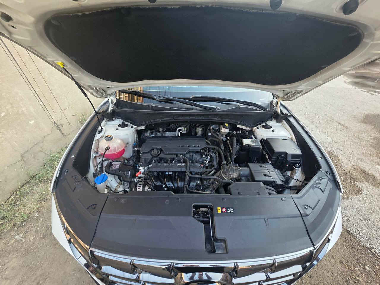 السلام عليكم توسان مديل 2024 فول مواصفات ماعدا الفتحه ماشيه 32 الف حقيقي السياره مكفوله من المحرك والكير والشاصي عدا صبخ قليل بالجاملخ وموجود السونار مرفق ويه الصور رقم بغداد تحويل ثاني يوم المكان بغداد الشعب رقم الهاتف *********** سعر خاص
