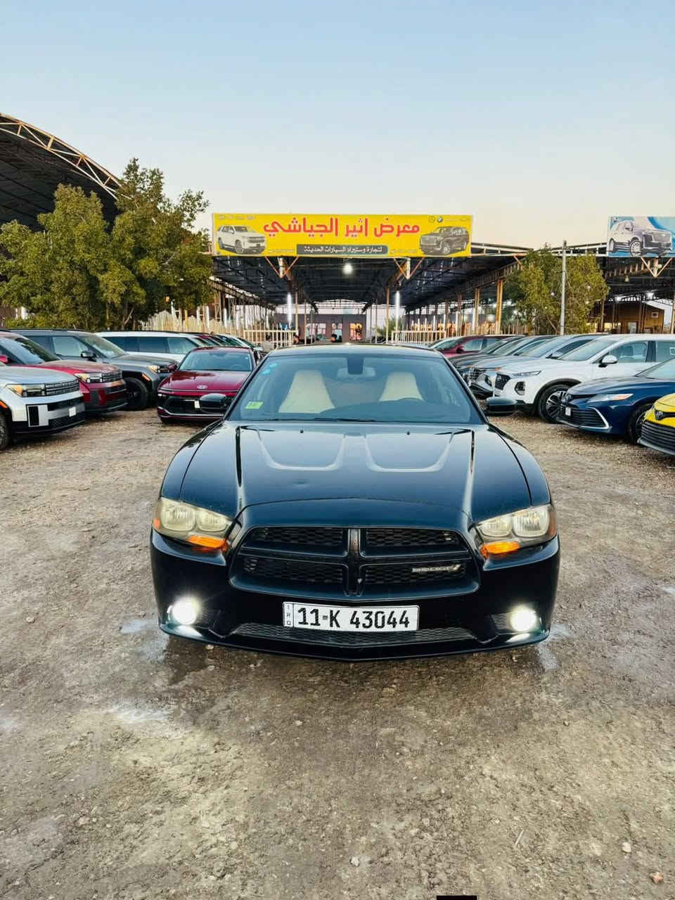 جارجر مديل 13 البيع مكان سماوه سعر 135 تبريد تخم تاير مكينه كير بيهه صبغ بس باب وجاملغ بيهن رش ***********
