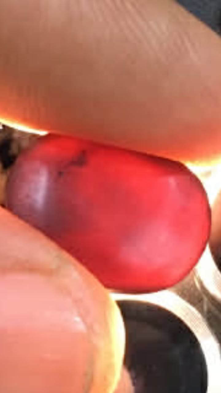 للبيع شفه قديمه جدا١٠٠ دودلار


**إذا كنت صاحب هذا الإعلان وتريد حذفه لأي سبب، رجاءا أرسل رسالة إلى الدعم الفني**