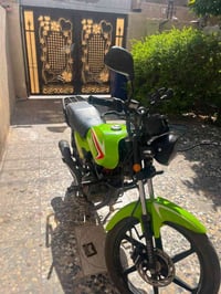 شاينك • سكنر • ٢٠٢٤