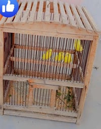 قفص خشب • النجف • حي المهندس