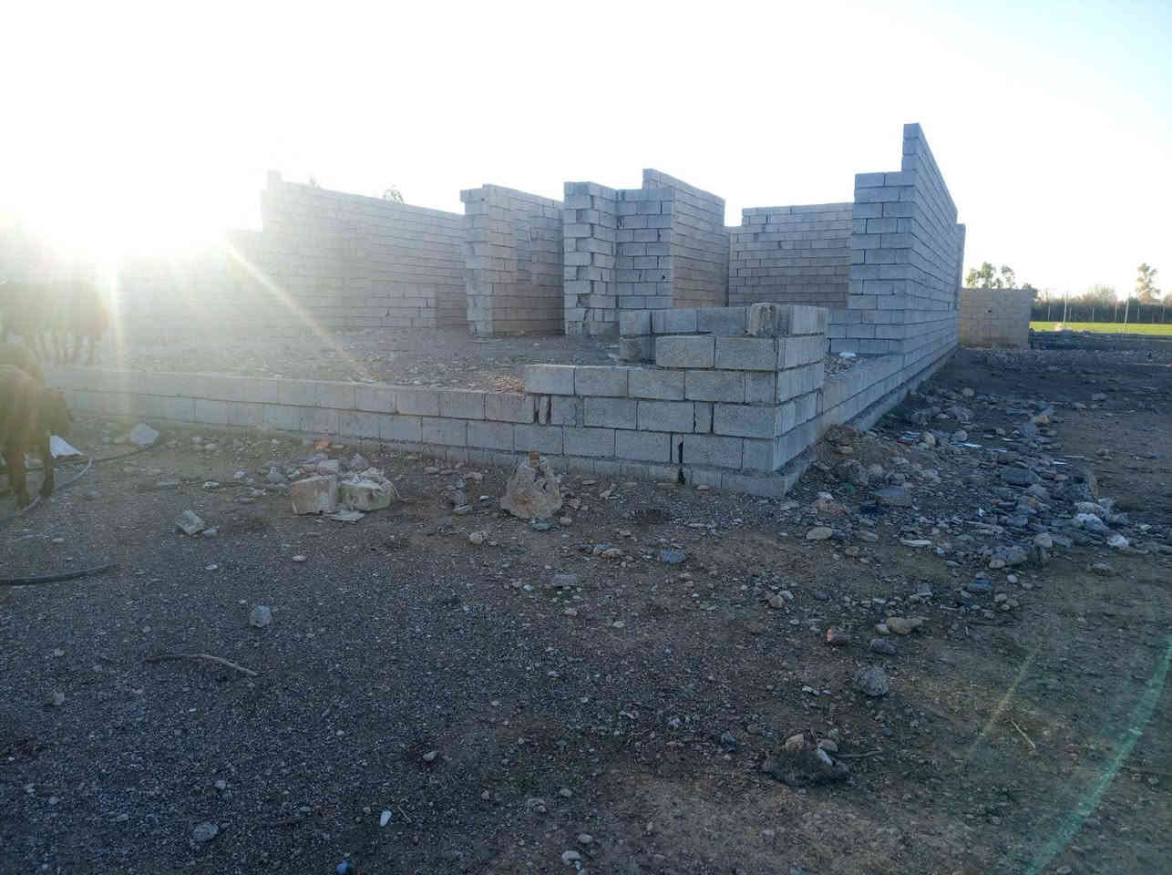 کۆدی ڕیکلام •30
ناونیشان/📍/  کەلار~صالح ئاغا~ بەرامبەر نادیکە ئەرۆیتەناو بەر دەم چۆڵ 

💢لە دەست خوتانی دەر مەکەن 
نرخی گونجاوە 💢

ماڵی کاسیبە بۆ ئاژەڵ داری بۆ فەلاحەت بۆ هەموو شەتێک ئەبێت 

هەمیشە نووسینگەی صالح ئاغا محمد پێشنگە لە ماڵی جوان هەرزان 

~~~~~~~~~~~~~~~~~~~~~~~

نرخی 110گەلاو معمەلە ماڵی فەقیرە 

🌳باخ بە رووبەری  (#یەک دۆنم و #نیو)🌳 

🏠هەیکەل 200متەری گەورەی تیدایە 

🔻جیگایەکی خۆشی هەیە 

⭕️ هیچ کئشەی لەسەر نیە 

🔻جیگای بەخیو کردنی ئاژەڵ تیایە 

🔴 کامل سیاجی بۆ کەراوە 

~~~~~~|
~~~~~~~~~~~~~~~~~~~~~~~~~~~~~~

💸کۆمێنت بنووسەزانیاریتەواوتان پێ دەگات

📠 بۆ زانیاری زیاتر پەیوەندی بکەن بە ژمارە 
                             
☎️￼⁨*********** نووسینگەی صالح ئاغا محمد
