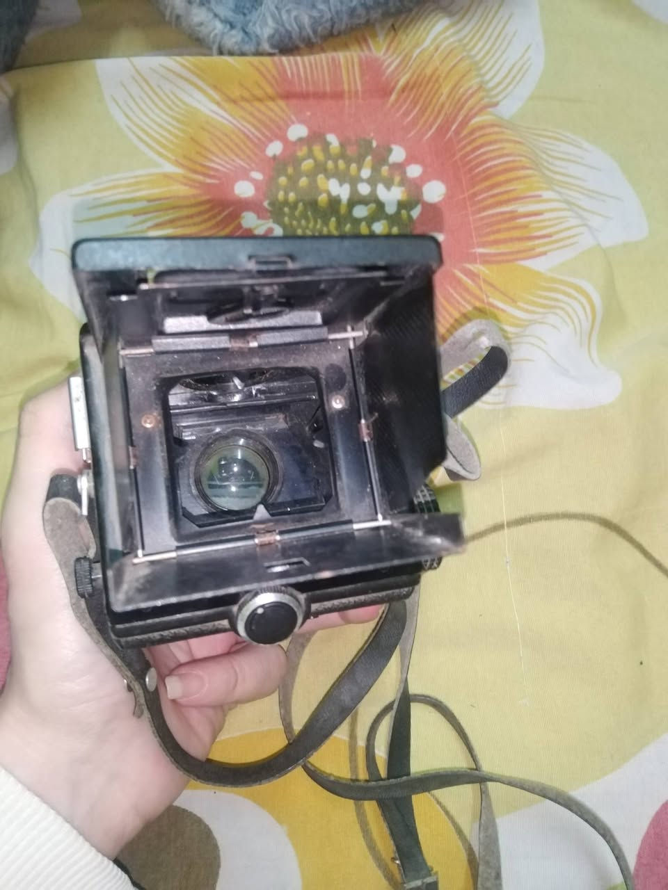 كاميرا lubitel 166 تصنيع اتحاد سوفيتي ..


**إذا كنت صاحب هذا الإعلان وتريد حذفه لأي سبب، رجاءا أرسل رسالة إلى الدعم الفني**