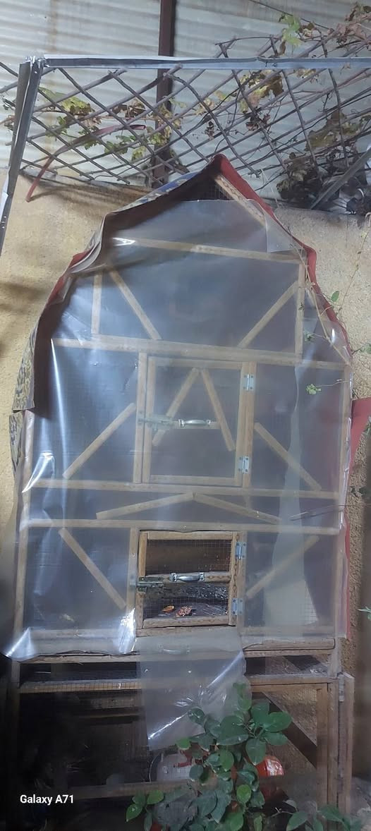 غراض نظيفة استعمال قليل التفاصيل اسفل الصور


**إذا كنت صاحب هذا الإعلان وتريد حذفه لأي سبب، رجاءا أرسل رسالة إلى الدعم الفني**