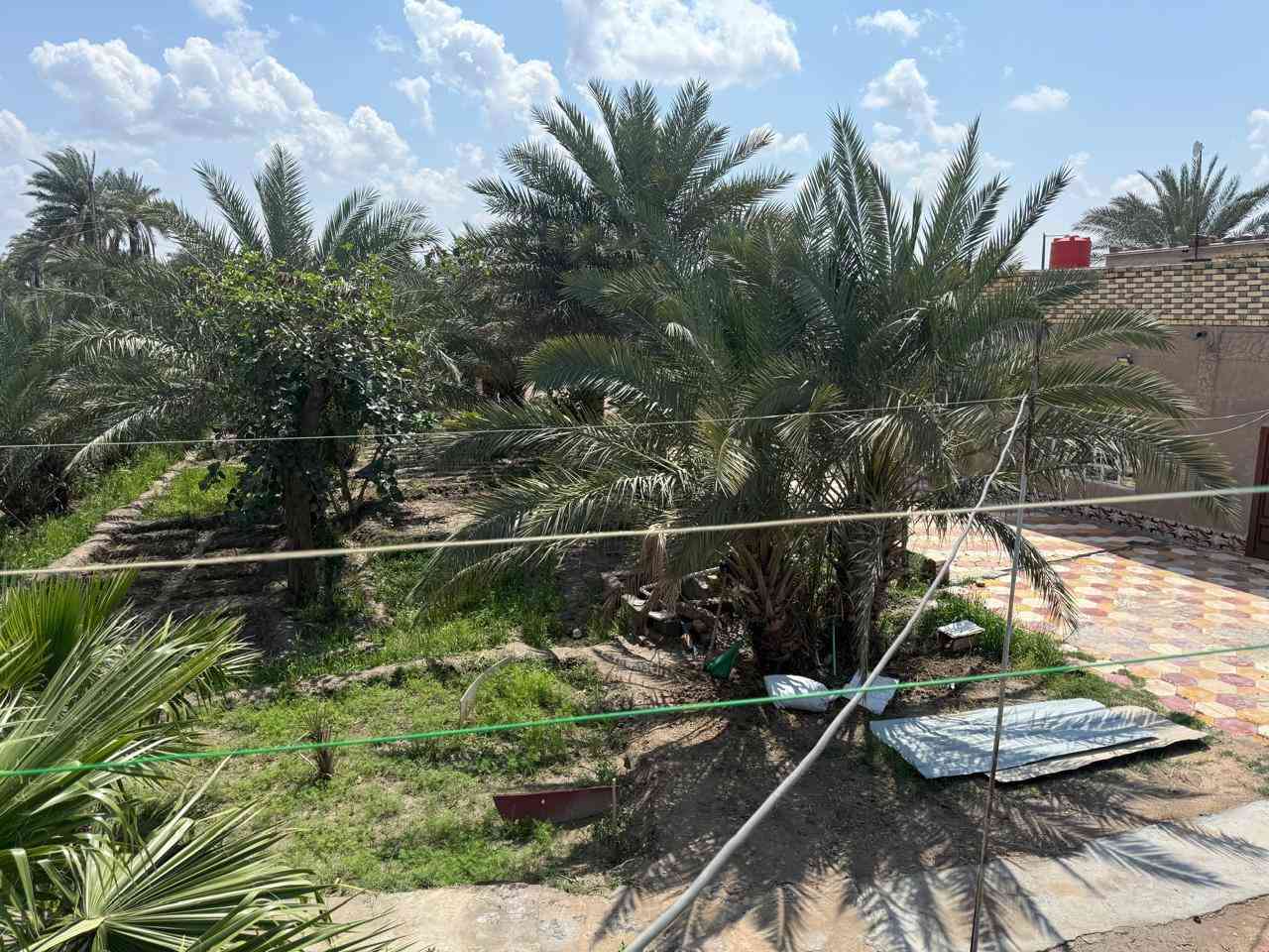 بستان للبيع--ال محينة نزلة الغافلية قرب مدرسة الإمام الباقر:(السعر 220)وبيه مجال

يحتوي بيت عدد 2 ، مساحة كل بيت 300م

1-البيت الاول(صاله عدد 2,غرف عدد3+صيحات)
*البيت نص بناء طابوق ونص الثاني بلوك كهربائي 
*تأسيس ماء جديد و صحيات شرقي وغربي

.
2-البيت الثاني(صاله عدد2+غرف عدد3+مطبخ) 
*البيت بالكامل بناء بلوك كهربائي اصلي
*تأسيس ماء وكهرباء جديد شرقي وغربي

.
البستان يحتوي على 40نخله مثمره منوعه+مختلف أنواع أشجار الفاكهة +حدائق عدد 2 +3مساحه لبناء البيوت 
.
الاستفسار على الرقم 
***********
