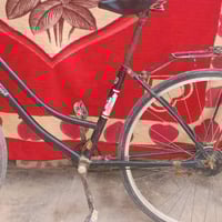 شباب بايسكل للبيع سعر الواتساب  07857767737