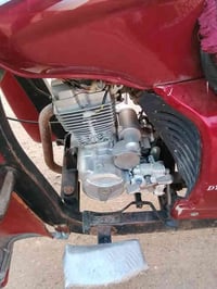 شباب ستوته البيع موديل 2019وراق صوليه العنوان بغداد حي النصر السعر ملي...