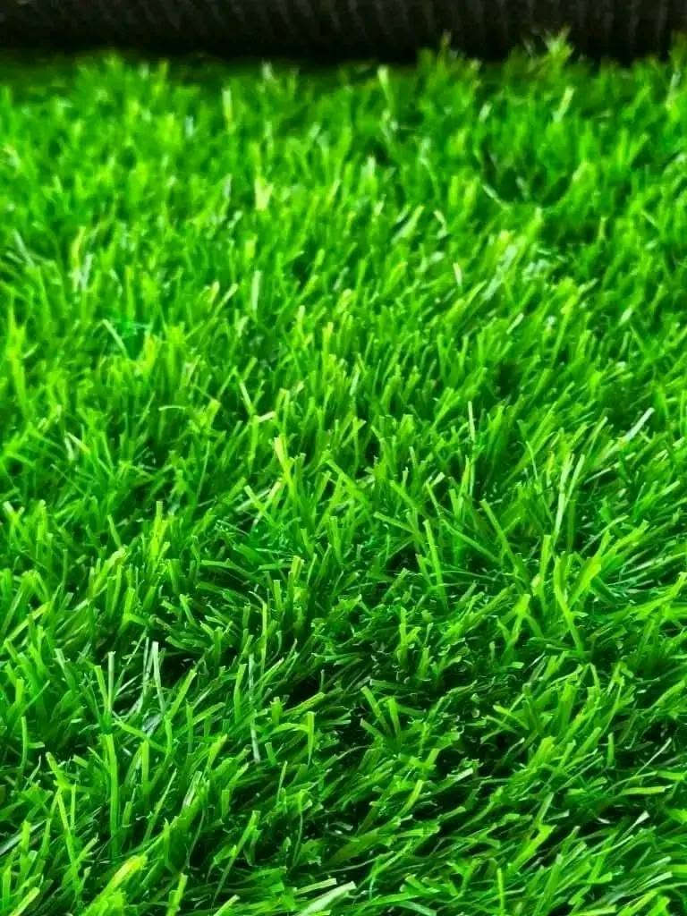 سارعوا الكمية محدودة واتساب ٠٩٢٣٣٧٥٦٤٥


**إذا كنت صاحب هذا الإعلان وتريد حذفه لأي سبب، رجاءا أرسل رسالة إلى الدعم الفني**