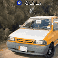 سايبا • ٢٠١١ • صبغ فقط