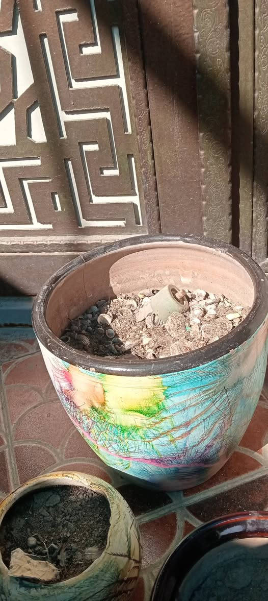 سنادين عدد 5ب15 كلهن بغداد البياع


**إذا كنت صاحب هذا الإعلان وتريد حذفه لأي سبب، رجاءا أرسل رسالة إلى الدعم الفني**