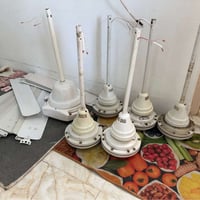 بلا عيب • كالار • السليمانية