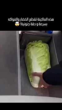 مرطبات دجلة • كيك • توصيل