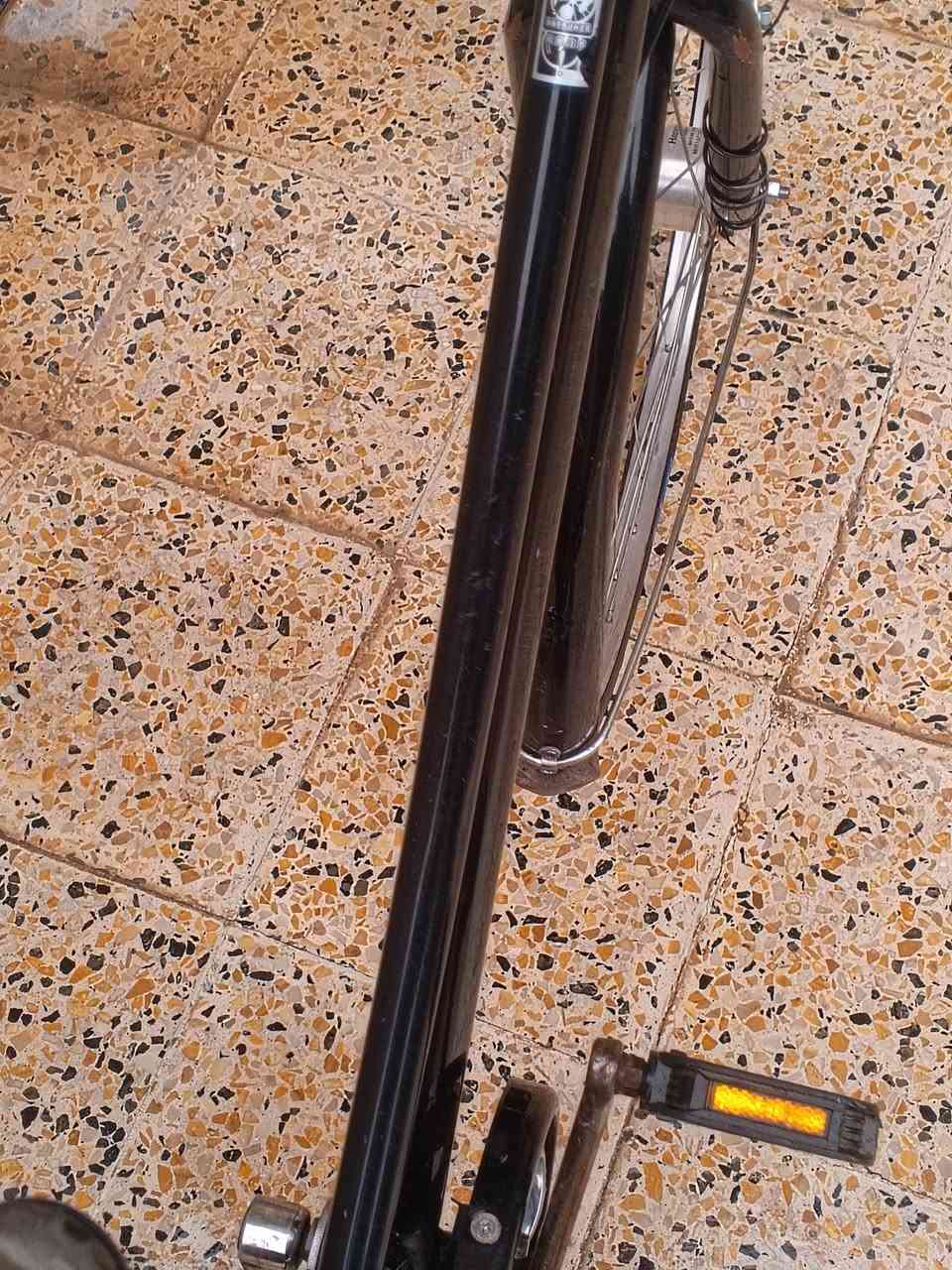 للبيع
بايسكل عبد الحليم 
موديل 2022
نوع شامون 
حساس 
مكينه شرط
حجم 27
لون اسود لاماعي 
جديد مال شحن 
عنون 
موصل 
حي سومر
سعر 
110 وبي مجال


**إذا كنت صاحب هذا الإعلان وتريد حذفه لأي سبب، رجاءا أرسل رسالة إلى الدعم الفني**