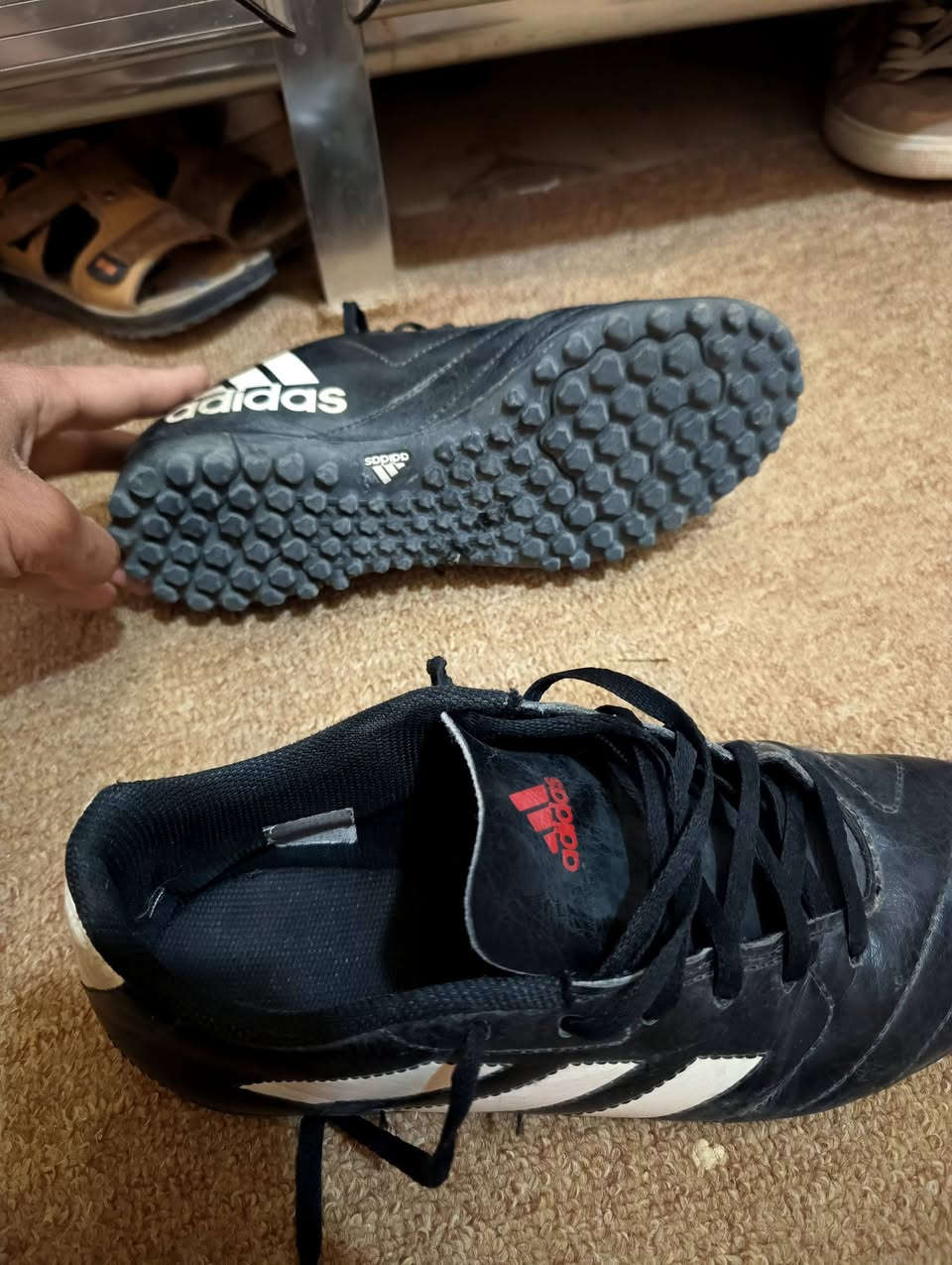 السلام عليكم 
زوجين حذاء للبيع قياس 42 
السعر ثنينهن ب40
مكاني ديوانية مركز


**إذا كنت صاحب هذا الإعلان وتريد حذفه لأي سبب، رجاءا أرسل رسالة إلى الدعم الفني**