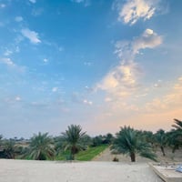 3 دونم طابو زراعي سند 25 ; طابو الكاظميه .  واجهه الدونم 27 تباع تقطيع...