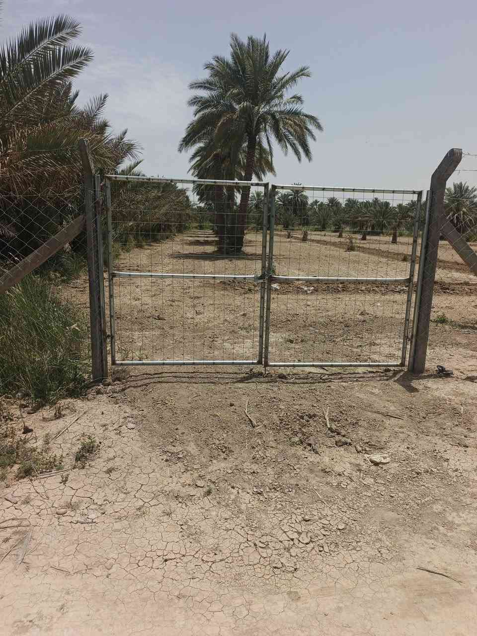 اسلام عليكم قطعه الرض لبيع المساحه الكليه 2دونم الواجه 50متر
طابو زراعي سند 25 تحويل مباشر
مكان الرض منطقه الدسميه قرب حسينيه سيد شاكر
كامل خدمات وحلوه مسيجه بل كامل سعر مناسب
استفسار اتصال ***********             ***********
