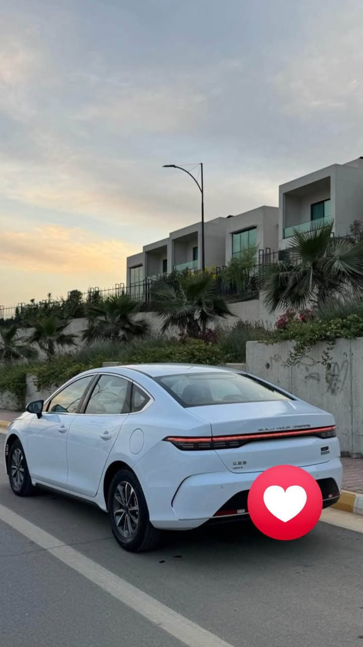 Byd distro 2025
١٣ هە زار ڕۆشتوە
تازە سێرڤسە 
گاعی قلبی تیایە
بۆیاخو ساردی نیە
*********** السليمانية, العراق
