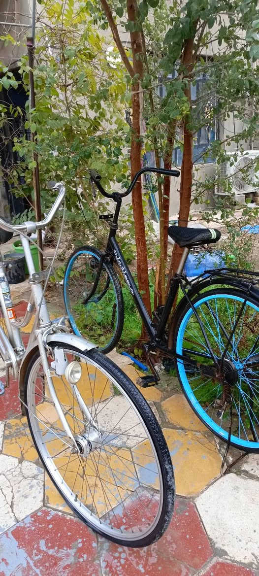 باسكل ياباني عدد  2 مكان ديوانية 
ثنينهن ب150
اذا مفرد
السعر السلفر 85 والاسود75   *********** ديوانية, القادسية
