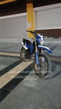 قفاز • ٦٥٠ • مراوس