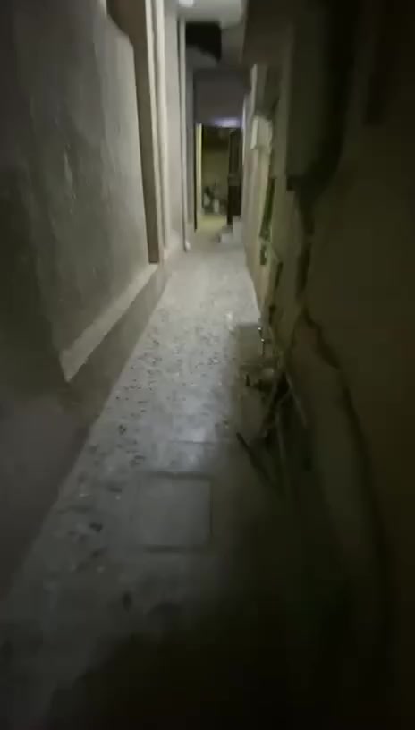 شقة  ارضية معزولة للإيجار 
صالة و مطبخ و خدمات غرفة نوم (1)  تحتوي على سبالت و سخان
العنوان:- ضباط القاهرة مقابيل المول قرب الشارع العام 
السعر:- 600 الف قفل 🔒
الفيديو الي ويه المنشور(  للشقة) 

دار للإيجار حديث زيرو 50 متر صالة و مطبخ و خدمات (2) غرف نوم (3) من ضمنها غرفة نوم في الطابق الأرضي
 العنوان:- القاهرة الأولى 
السعر:- 750 الف
للإستفسار الإتصال  على الرقم واتساب 
***********‪ 
#الجميع
