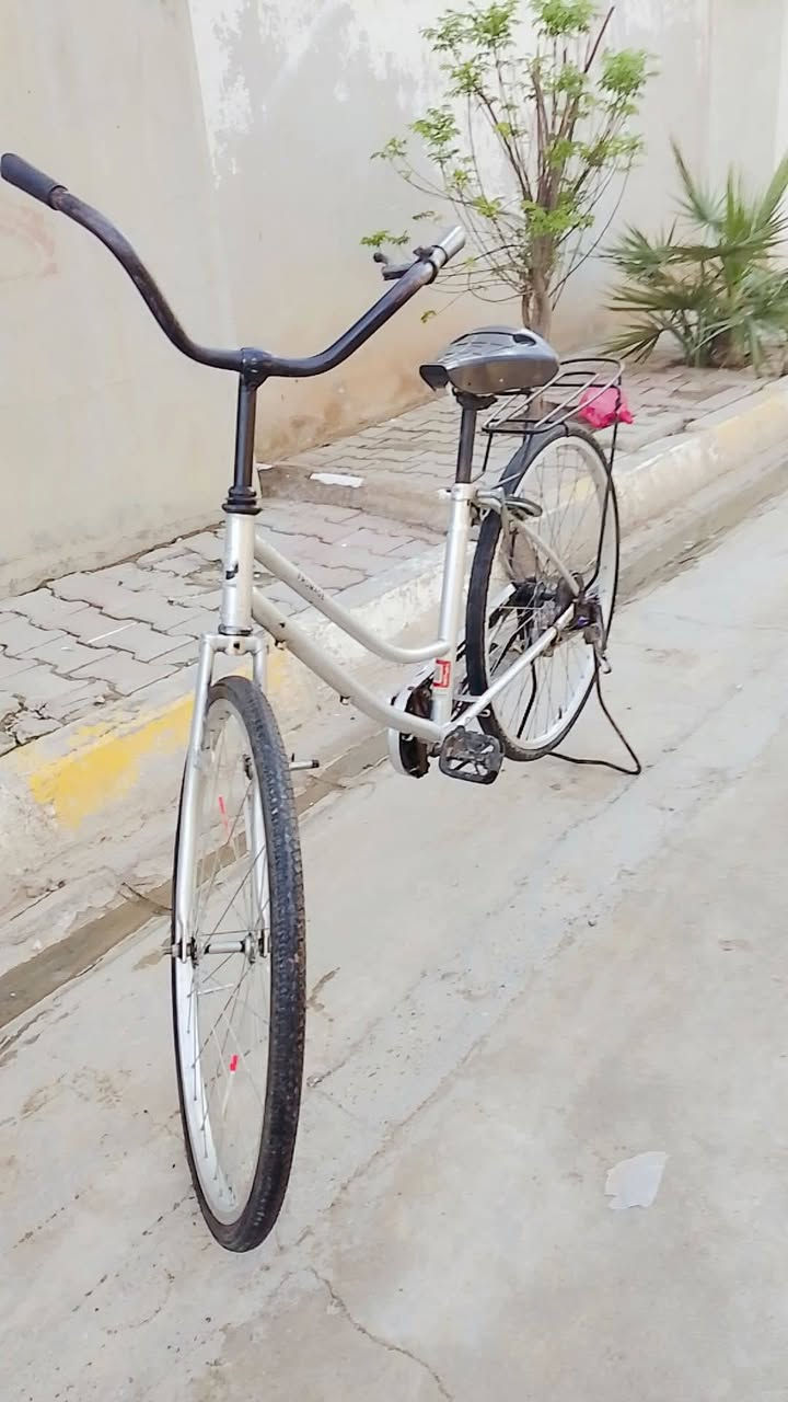 سلام عليكم  عندي هاي البايسكل FRO MAGE رصاصي جحم 26موديل 2018 فول نضافه قفل امامي او خلفي جاملخ  ورا او كدام فول نضافه بس بي اشويه شخوطاط شراي يجي خاص او هاد رقمي ***********❤
