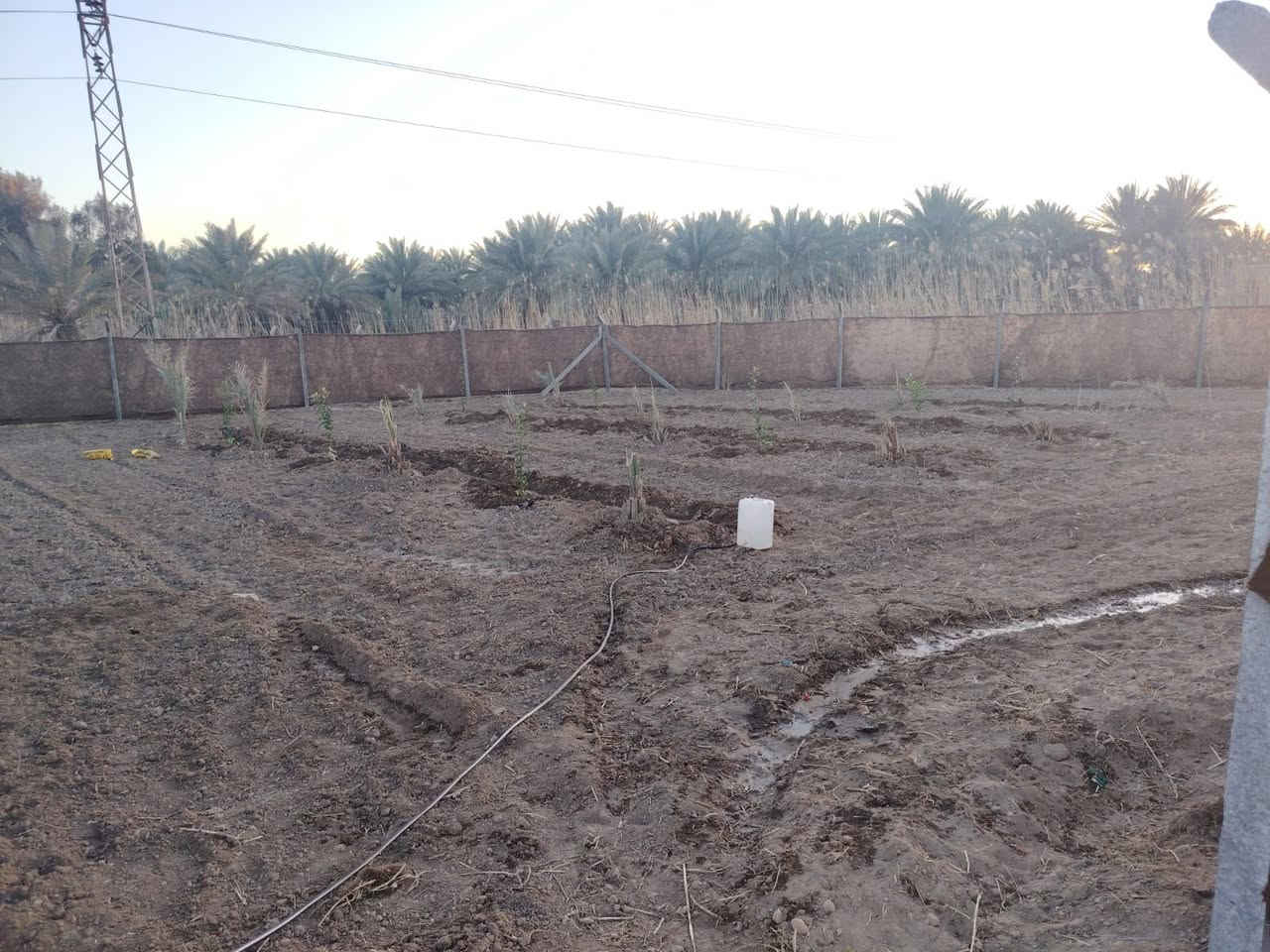 ارض للبيع في كربلاء سند 25 
مساحتها  500 متر
طابوا زراعي سند 25 كربلاء طريق بغداد عمود 168 تبعد عن الامام 8 كيلو تبليط كهرباء ماء اسالة
السعر ٣٥


**إذا كنت صاحب هذا الإعلان وتريد حذفه لأي سبب، رجاءا أرسل رسالة إلى الدعم الفني**