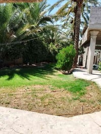 بستان ٢ دونم • مع بيت • الراشدية بغداد