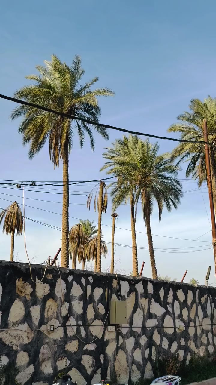 السلام عليكم دايود عضم للبيع موديل 2023 وكيل ثامر خلخال الدراجه مكفوله من كلشي النضافه شوفت علينك السعر 1750 وبيه مجال حك الجيه وأي استفسار اتصل 👈🏻 ***********
