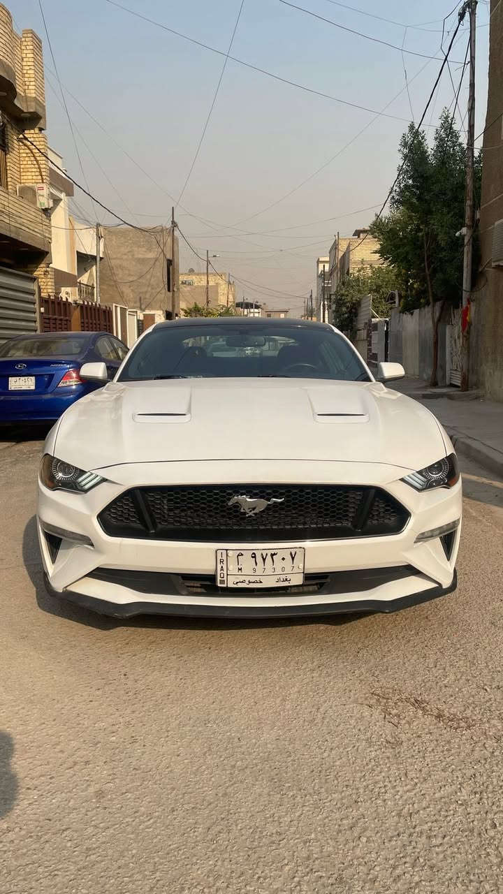 سلام عليكم 
موستنك ايكو بوست ٢٠١٩ 
عليها برمجة طلال 
السيارة نظيفة و مصروف عليها و مرتبة مابيها اي نقص 
استخدام يومي فقط 
صور الحادث موجودة و السيارة استيراد ب سنة ٢١ 
عارضها ب155 و بيها مجال بسيط كلش 
متواجد على الواتساب بس ***********
