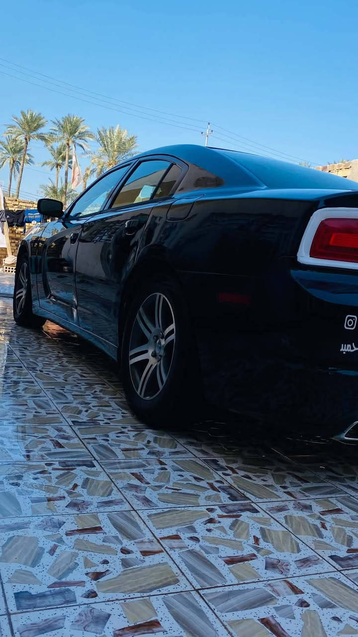 جارجر موديل 14 خليجي 3600 v6
رقم بغداد انكليزي تريد تحويل تريد وكاله السياره بيهه جاملغات الخلفيه حادثهه فقط وبيهه شخط بل الباب خلف الصدر 
غرفه جلد كشن السائق كهرباء شاشه كبيره كير عصا السعر 145 بيهه مجال حك الجيه مكان بابل سيطره ام الهوه ***********
