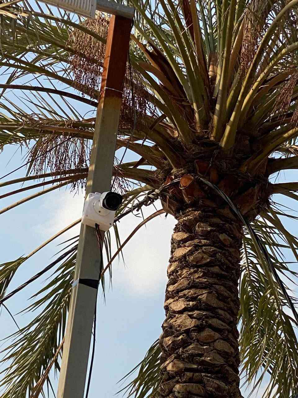 تم بحمد الله نصب كاميرات مراقبه 8 ميكا Canon في جسر ديالى – منطقه الصمديه 
نضمن جودة عالية، ترتيب احترافي، وخبرة بالعمل 🔧🎥
جاهزين لتنفيذ جميع مشاريع الكاميرات للمحلات والمولات والمزارع والمؤسسات الحكومية والخاصة .
تواصل ويانه للطلب أو الاستفسار.***********
