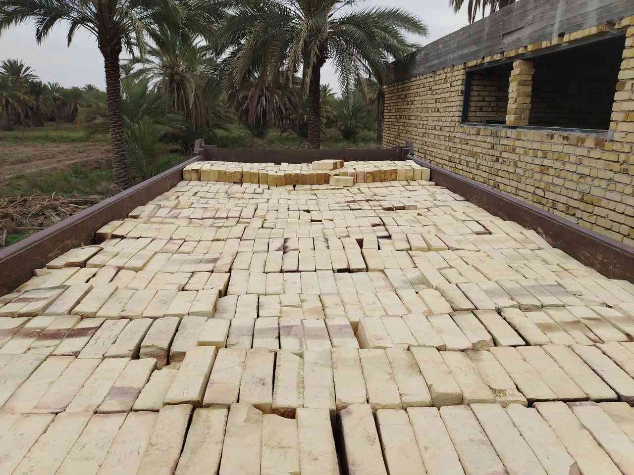 طابوك شوملي درجه أوله فول شرط المكلاب بسعار منافسه اتصل ***********

