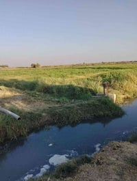 ٤دونم • طابو الفلوجة • قابل تقطيع