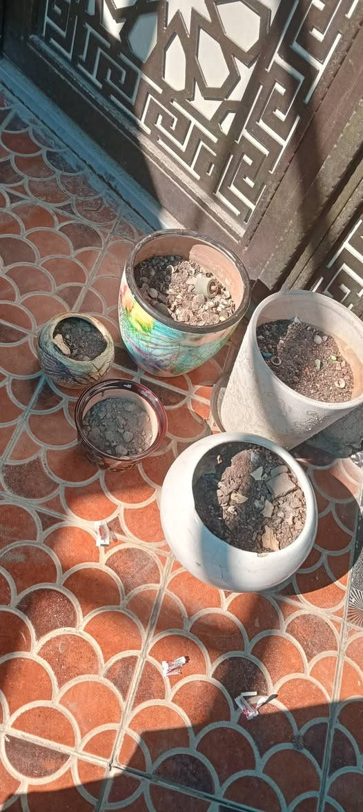 سنادين عدد 5ب15 كلهن بغداد البياع


**إذا كنت صاحب هذا الإعلان وتريد حذفه لأي سبب، رجاءا أرسل رسالة إلى الدعم الفني**