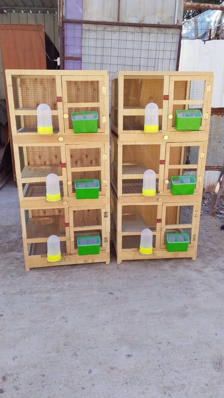 شغل تفصال خانات بأنواعها مكاني بغداد


**إذا كنت صاحب هذا الإعلان وتريد حذفه لأي سبب، رجاءا أرسل رسالة إلى الدعم الفني**