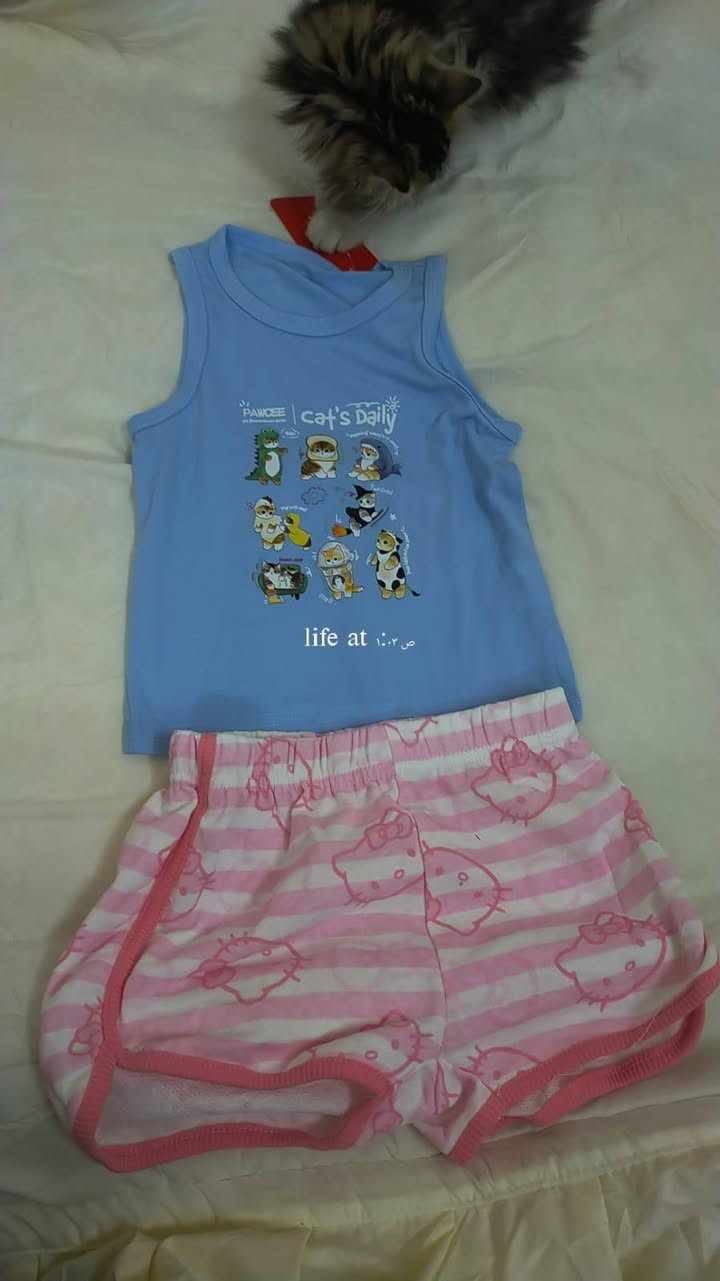 ملابس شي ان ب انسب الأسعار


**إذا كنت صاحب هذا الإعلان وتريد حذفه لأي سبب، رجاءا أرسل رسالة إلى الدعم الفني**