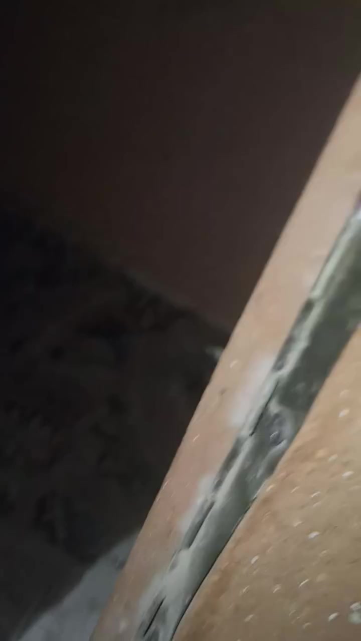 السلام عليكم
بيت (كلاب-قطط) 
تفصال علاشكل كوخ
واجهيه 85
نزال 60 
الارتفاع. 60
سعره. 25

الحسينيه مال راشديه 
***********
