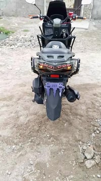 سترونك جبلي • مكفوله • موديل 25