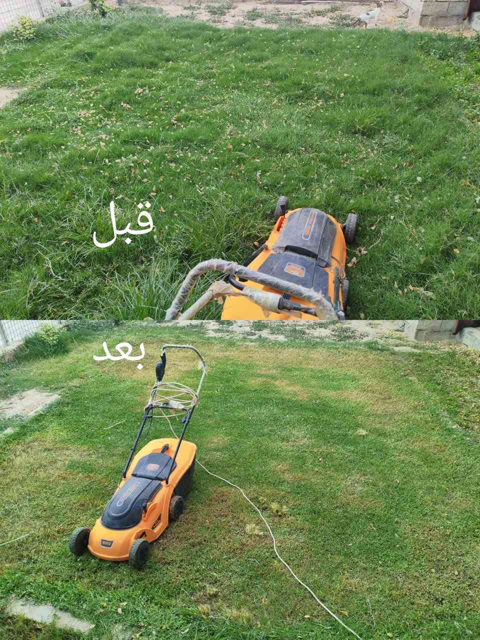 (سلام عليكم ورحمة الله وبركاته)
يوجد مكينه  قص حدائق اجيك ليم  باب البيت الاتصال  
 اسيا (***********)
 زين (***********)   
وسعر حسب حجم الحديقه (وجوامع مجانا) 
       (بإداره ايمن)
         وسلامتكم
