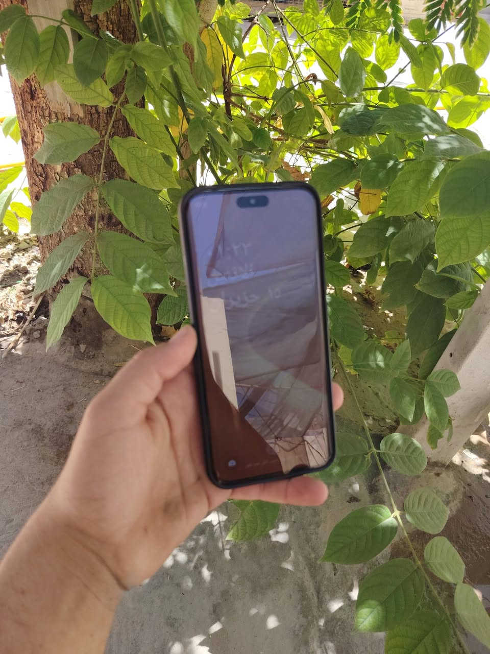 سلام عليكم تكنو بوفا سلم 5g
بي فطر خفيف ونضافه 80/100 بي ضربة بل شاصي خفيفه 

ذاكرة 256 رام 8+8  كامرة 50  بطارية  5160 

شحن سريع تايبسي شاشه 144 بدون ملحقات 

سعره 185 وبي مجال لطيبين مكان (نجف)


**إذا كنت صاحب هذا الإعلان وتريد حذفه لأي سبب، رجاءا أرسل رسالة إلى الدعم الفني**