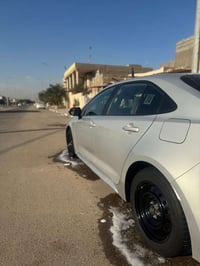 كورلا وارد • ٢٠٢٣ • بصرة