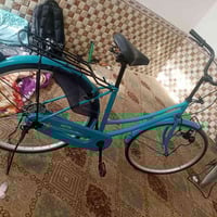 سانتوس • نعناعي • فول